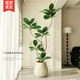 Fake green plant decoration, simulated black diamond indoor potted plant, large floor-standing ornament, light luxury, anti-real green plant for living room