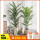 Sanwei Kwai simulated green plant Nordic ins potted floor-standing