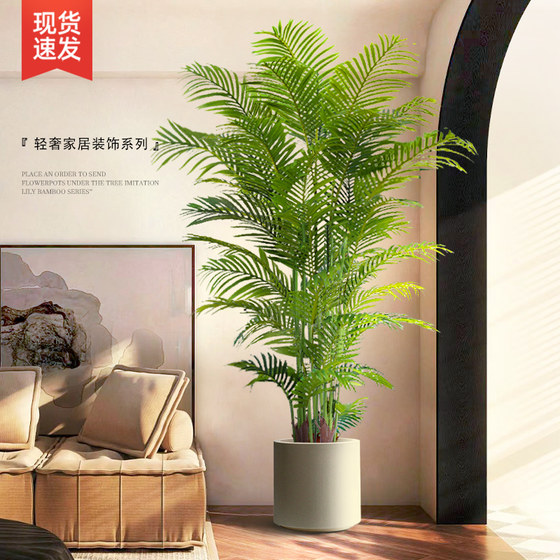 Green plants in the living room! Decorative ornaments next to the sofa and TV!