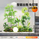 Original indoor fake green plant landscaping combination