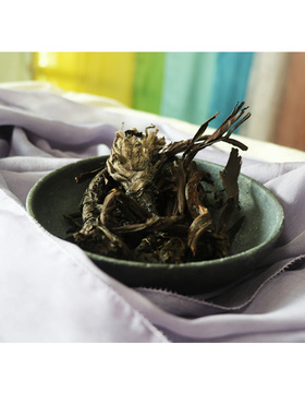 植物紫色染料硬紫草diy零基础