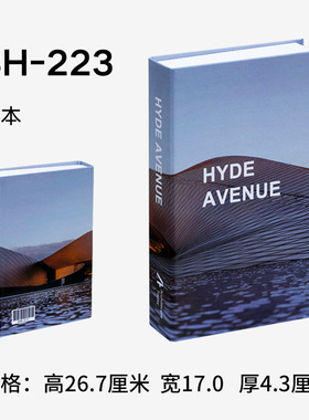 简约现代风摄影软装英文仿真书