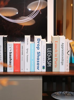 北欧风格英文创意仿真书家居装饰