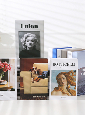 英文北欧风样板房酒店装饰书摆件