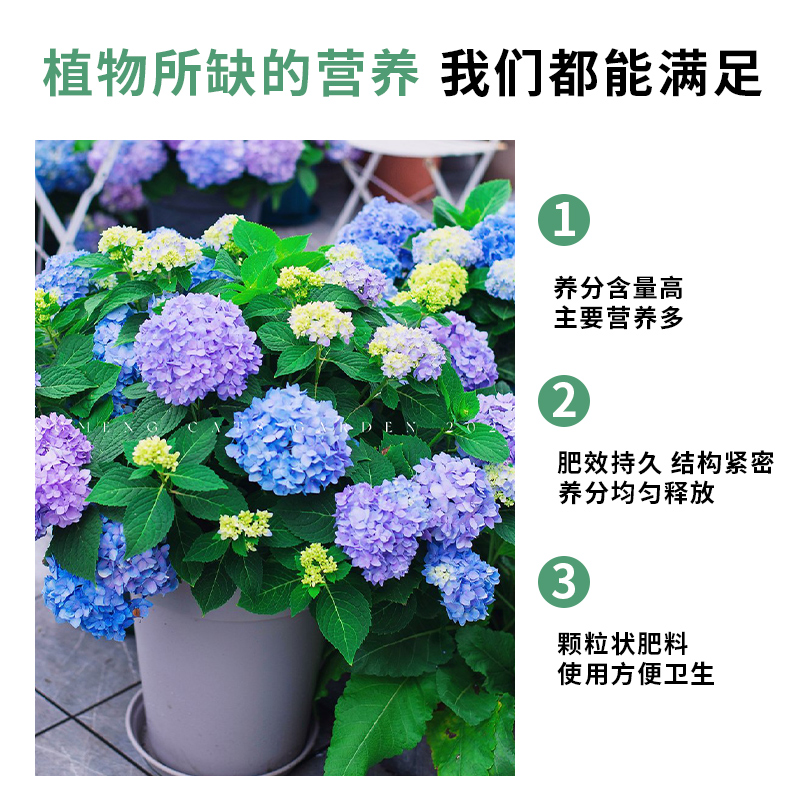 绣球花专用肥料催花四季通用型盆栽小菜园防虫除菌促花期有机型,淘宝优惠券,粉丝福利购,淘宝优惠卷