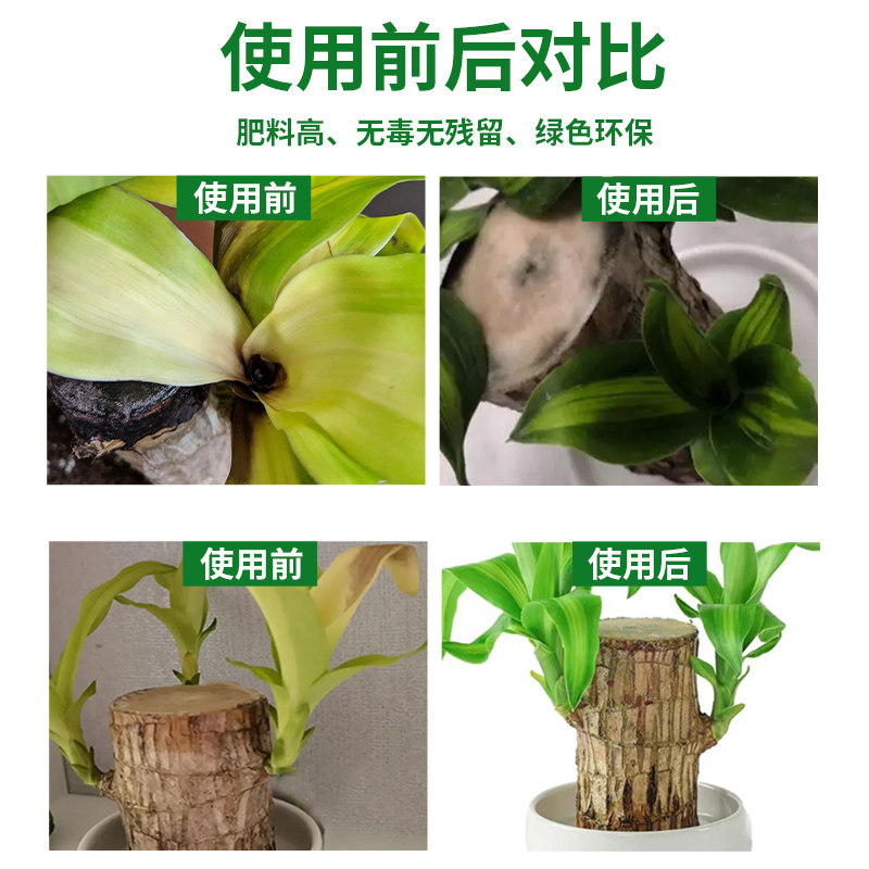 巴西木专用肥盆栽菜园四季通用颗粒缓释型有机肥料增根壮苗防板结,淘宝优惠券,粉丝福利购,淘宝优惠卷