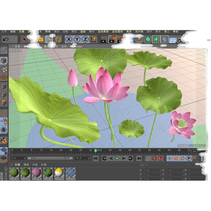 C4D荷花莲花模型含材质贴图灯光FBX学习交流很不错的素材 - 图3