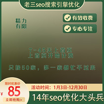 Website seo optimization whole site search engine optimization keyword rapid inclusion optimization weight ranking