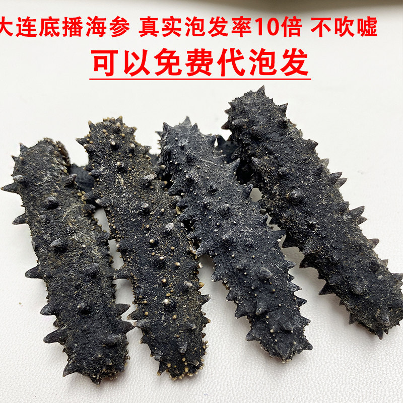 大连国标即食辽刺参水产淡干海参 燕爱家干品/即食海参