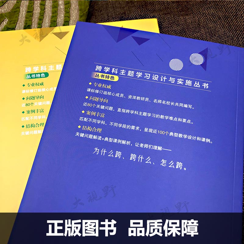 现货正版 跨学科主题学习设计与实施 体育与健康 于素梅 80个关键问题直指教学难点100个典型课例解析新课标中的跨学科主题学习 - 图2