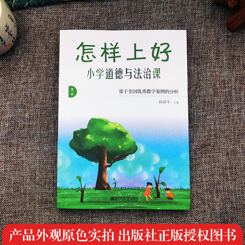 正版包邮 怎样上好小学道德与法治课 基于全国优秀教学案例的分析 孙彩平 教材解读 教学目标设计 教学内容选择 课堂活动 德育教学 - 图0