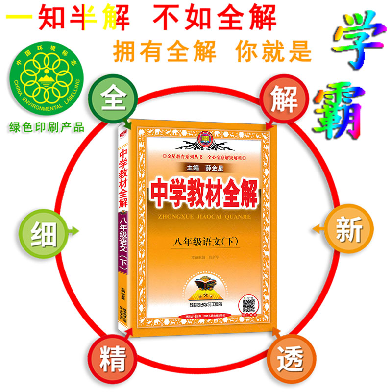 中学教材全解语文八年级下册语文人教部编版RJ 2024版金星教育初中8年级下册语文教材全解初二下册语文教材解读辅导资料中学教辅-图1