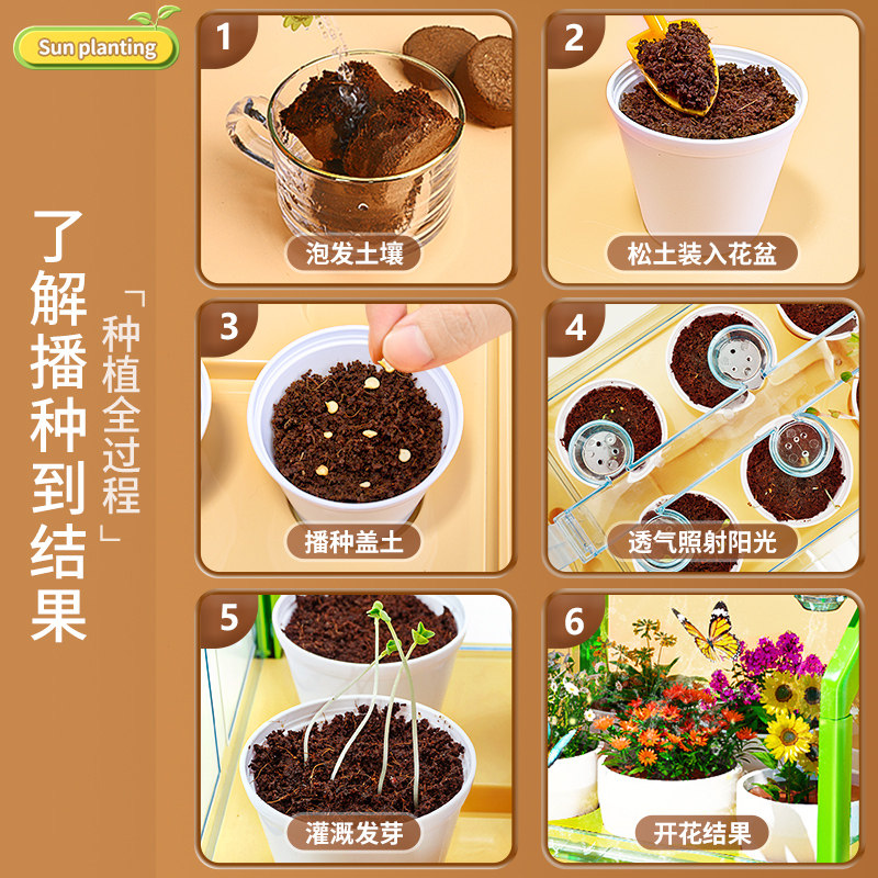 阳光种植房儿童科学小实验套装种菜植物生长观察盒益智玩具男孩女,淘宝优惠券,粉丝福利购,淘宝优惠卷