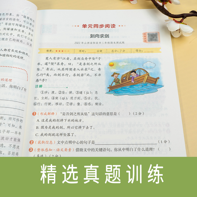 【13年老店】【通用版】二年级下册阅读理解训练题人教版小学2年级下学期语文阅读理解专项训练书练习题小学生必读课外书课内同步-图2