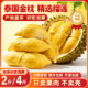 Thai Golden Pillow Durian Meat Frozen is plump, soft, glutinous and sweet