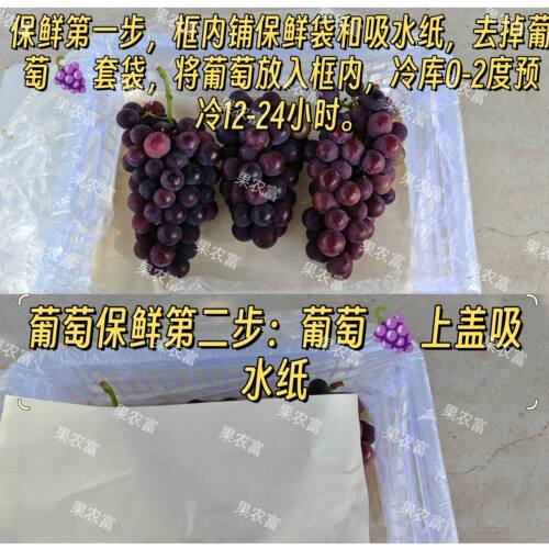 葡萄保鲜纸三件套专用保鲜剂包装纸防腐剂红提冷保鲜神器阳光玫瑰 - 图2