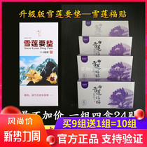 Golden Day International Xuelian To pad up the grade version Xulianfu paste a group of four boxes of 24 slices of ecological maintenance sticking pad