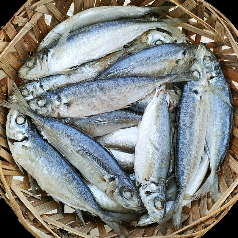 当天海捕现做潮汕打冷巴浪鱼饭福建闽南即食海鲜水产现煮熟鱼海鱼,淘宝优惠券,粉丝福利购,淘宝优惠卷