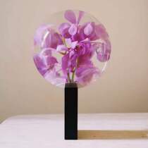 INS Wind blogger with the same Maisondadaaaaa magnifying glass vase adornment