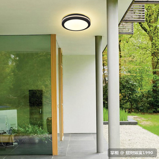 Waterproof villa sunroom induction ceiling light