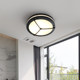 Waterproof villa sunroom induction ceiling light