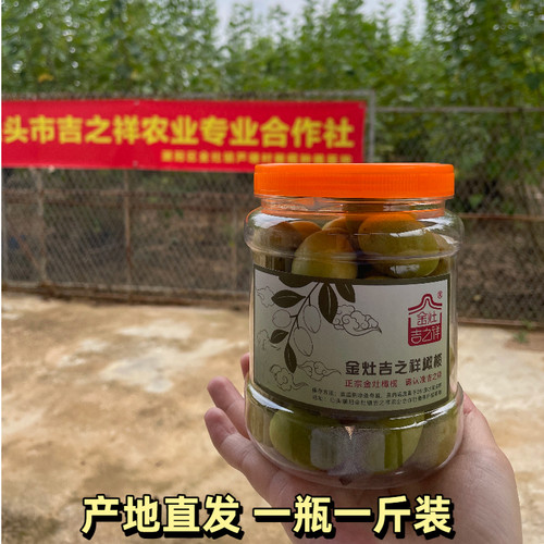 现摘现发广东潮汕特产正宗金灶三捻橄榄三棱当季新鲜孕妇水果生吃 - 图2