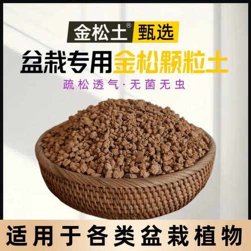 国产硬质赤玉土金松专用颗粒进口兰花三本营养铺面盆景多肉盆栽 - 图0