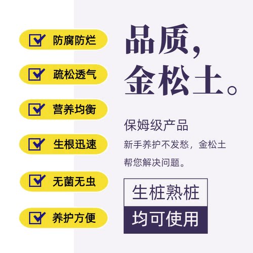 国产硬质赤玉土金松专用颗粒进口兰花三本营养铺面盆景多肉盆栽 - 图1