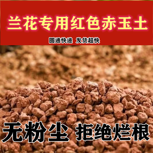 金松土盆景专用颗粒土柏树生桩老桩生根营养土多肉兰花有机赤玉土 - 图0