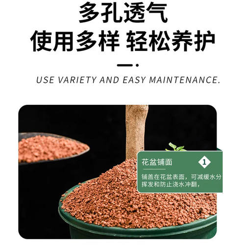 国产硬质赤玉土金松专用颗粒进口兰花三本营养铺面盆景多肉盆栽 - 图3