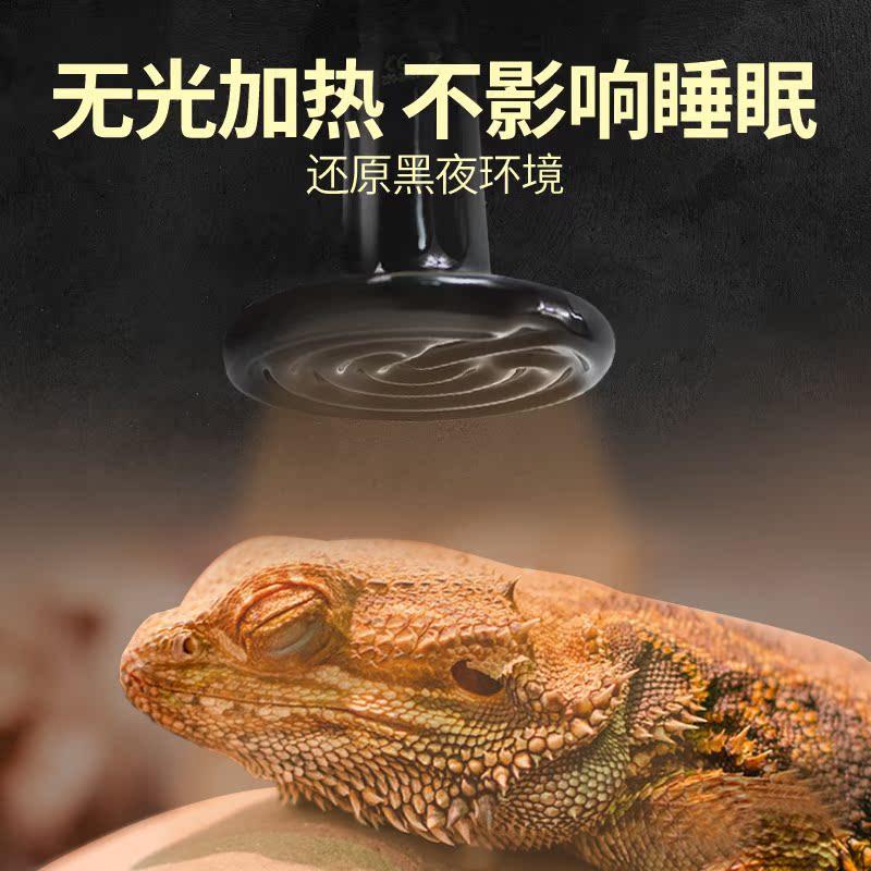 陶瓷加热灯陆龟蜥蜴爬虫保温灯恒温宠物蛇刺猬饲养箱鹦鹉爬宠用品,淘宝优惠券,粉丝福利购,淘宝优惠卷