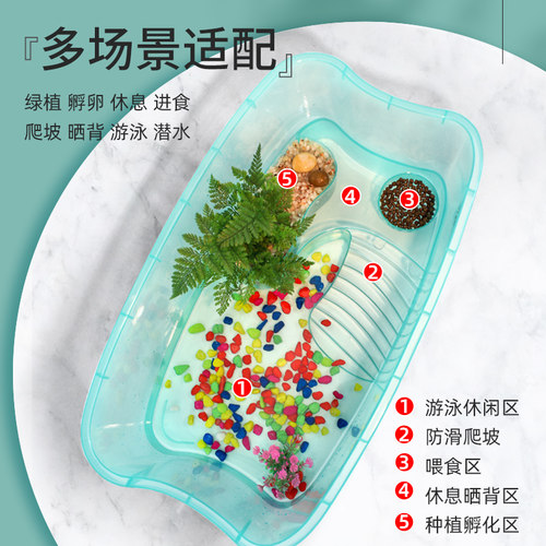 乌龟缸送2只小乌龟活物好家养巴西龟中华草龟花龟幼龟苗宠物龟盆 - 图1