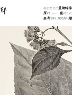 高清微喷纯棉油画布橙湖精品定制