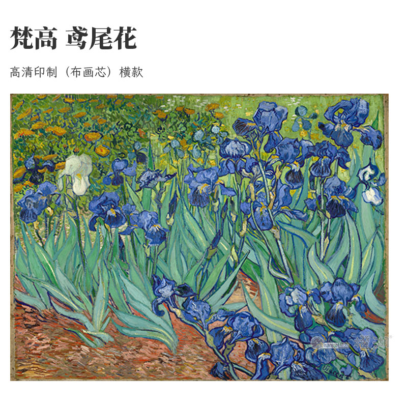 梵高鸢尾花布画芯家居精品装饰挂画定制印象派经典油画精品背景墙