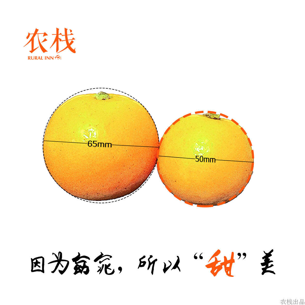 湖南黔阳冰糖橙新鲜水果橙子超甜当季甜橙现摘麻阳永兴橙10斤包邮,淘宝优惠券,粉丝福利购,淘宝优惠卷