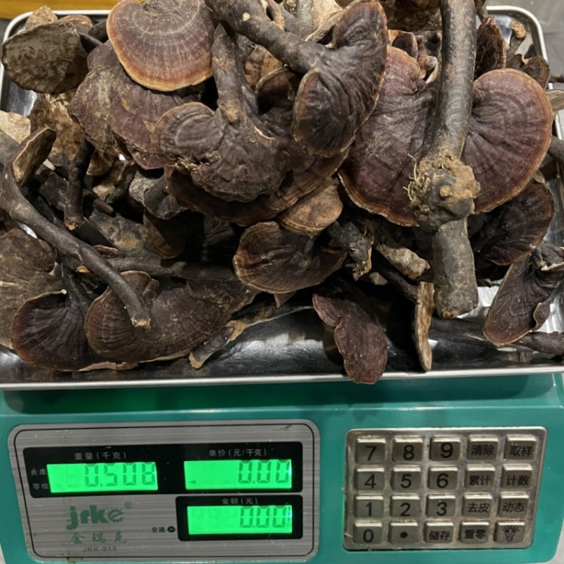 云南德宏野生竹灵芝野生赤灵芝整枝干货煮水泡酒煲汤食用礼盒包装,淘宝优惠券,粉丝福利购,淘宝优惠卷