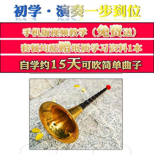 乌木平均孔唢呐乐器初学者黑檀演奏级全套红白事通用黄铜镀金喇叭 - 图1