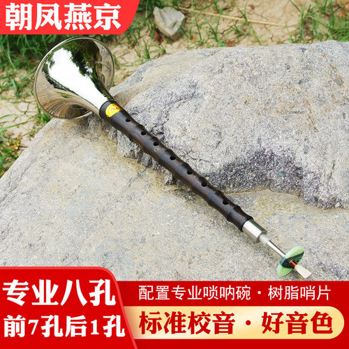 朝凤燕京唢呐乐器初学者全套乌木杆d调降b调成人专业级锁呐送哨片 - 图0