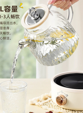 110v伏养生壶美国日本海外加拿大出国用全玻璃茶水分离烧水煮茶壶