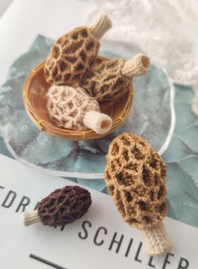 原创钩针编织羊肚菌材料包不适合零基础有重点讲解视频教程