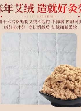 艾绒内胆艾灸坐垫温灸热敷多用