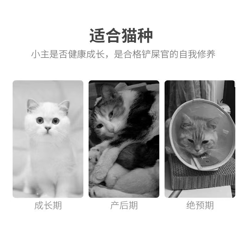 宠物冻干满耔多春鱼美毛猫零食小鱼干增肥发腮补钙成幼猫粮狗零食-图0