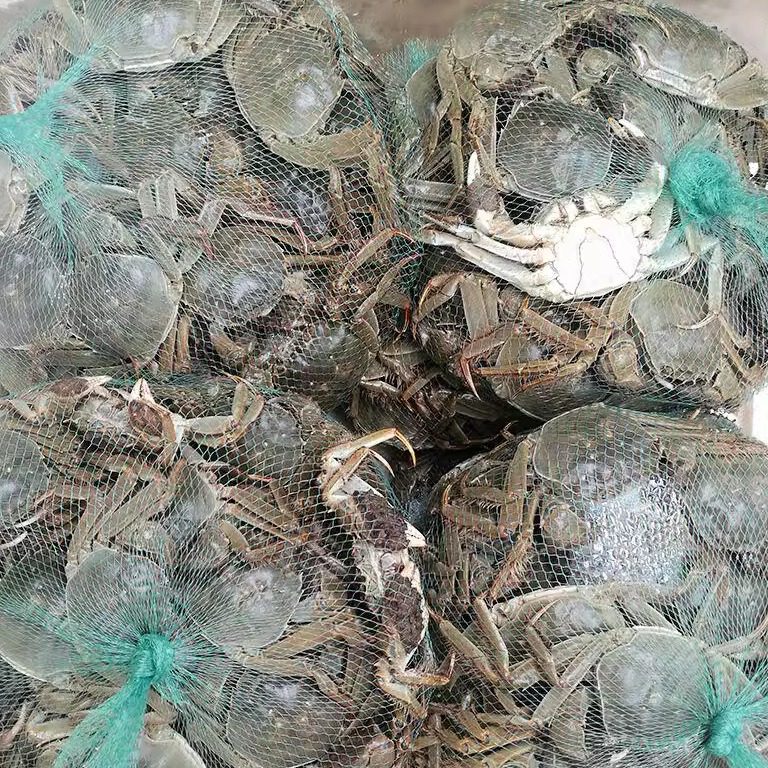 活蟹残蟹精品】固城湖大闸蟹残蟹鲜活螃蟹断脚残次蟹3斤装12-15只,淘宝优惠券,粉丝福利购,淘宝优惠卷