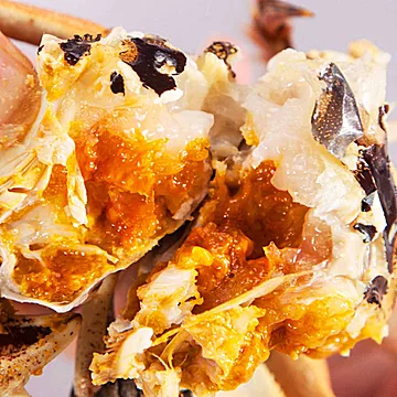 【基本上完整】固城湖大闸蟹4两公蟹3两母蟹[20元优惠券]-寻折猪