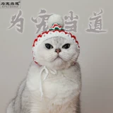 Собаки и кошачьи питомец рождественские шляпы рука -наклонный новый год плюшевый кот кот кот чистый милый новогодний платье