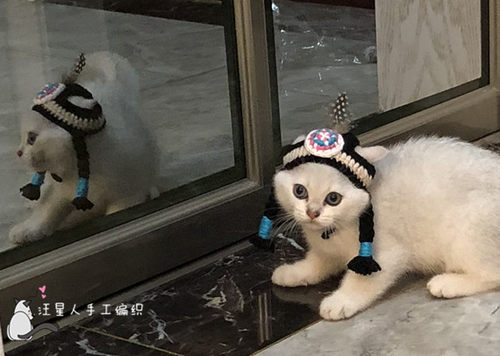 宠物搞笑帽子饰品 土著人印第安人头饰 猫咪头套拍照抖音道具 - 图3