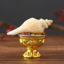 Buddhas Top Eight Confessed Secret Buddhist 5 for Levonatural Sea Snail Shell Home Buddhas Accessories Pendulum