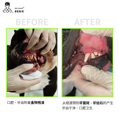 兽医张旭宠物多效抑菌口腔清洁犬猫消臭除臭泪痕擦牙擦脚湿巾 - 图2