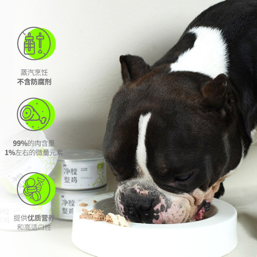 兽医张旭犬猫罐头补水鲜肉全价全龄期宠物净膛整鸡鸡肉湿粮主食罐 - 图1