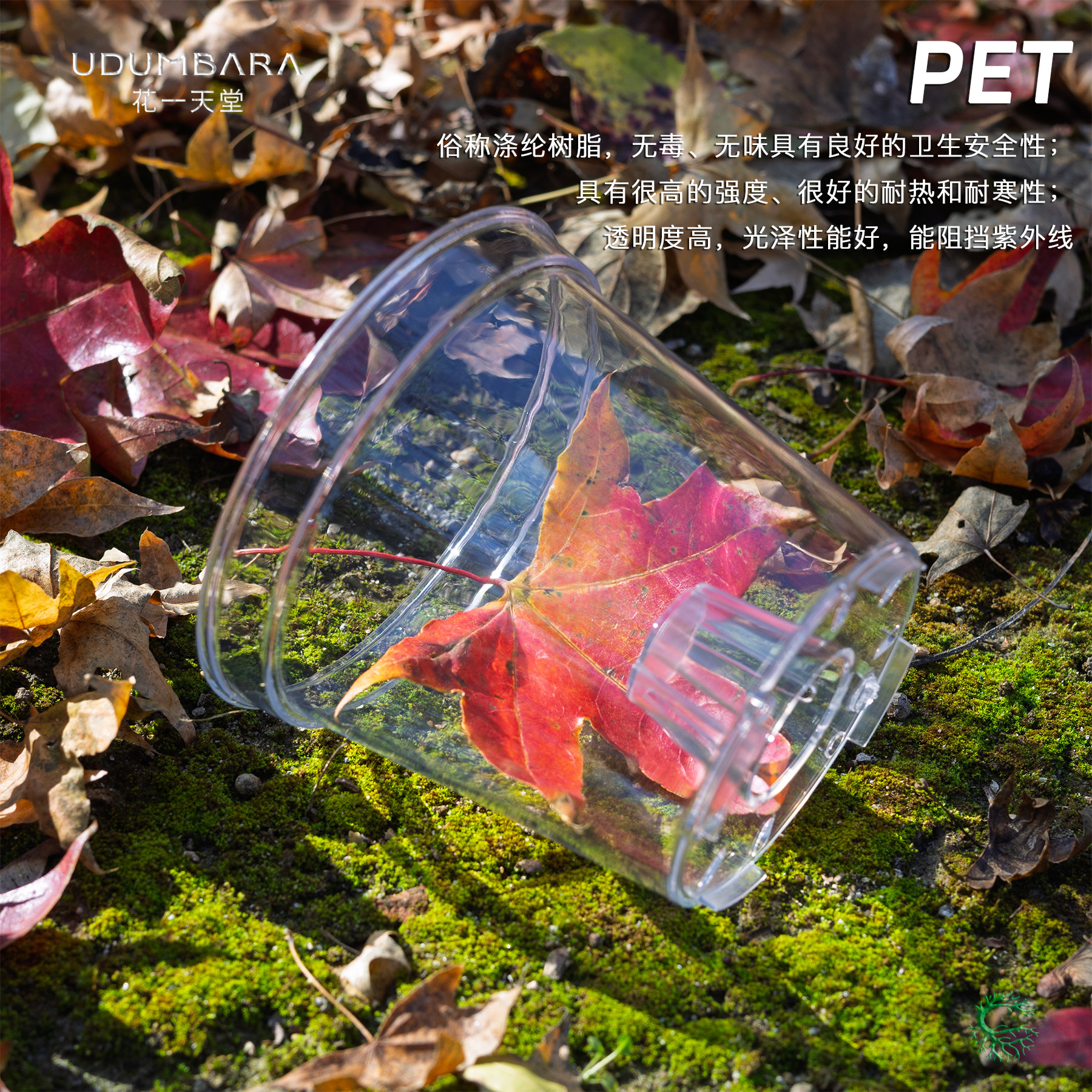 PET高透加厚圆口蝴蝶兰角堇花盆热植花卉盆栽办公桌多肉块球根盆,淘宝优惠券,粉丝福利购,淘宝优惠卷